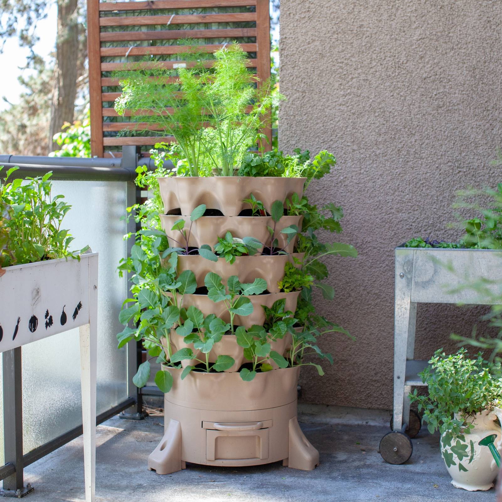 Intensive Gardening Small Space