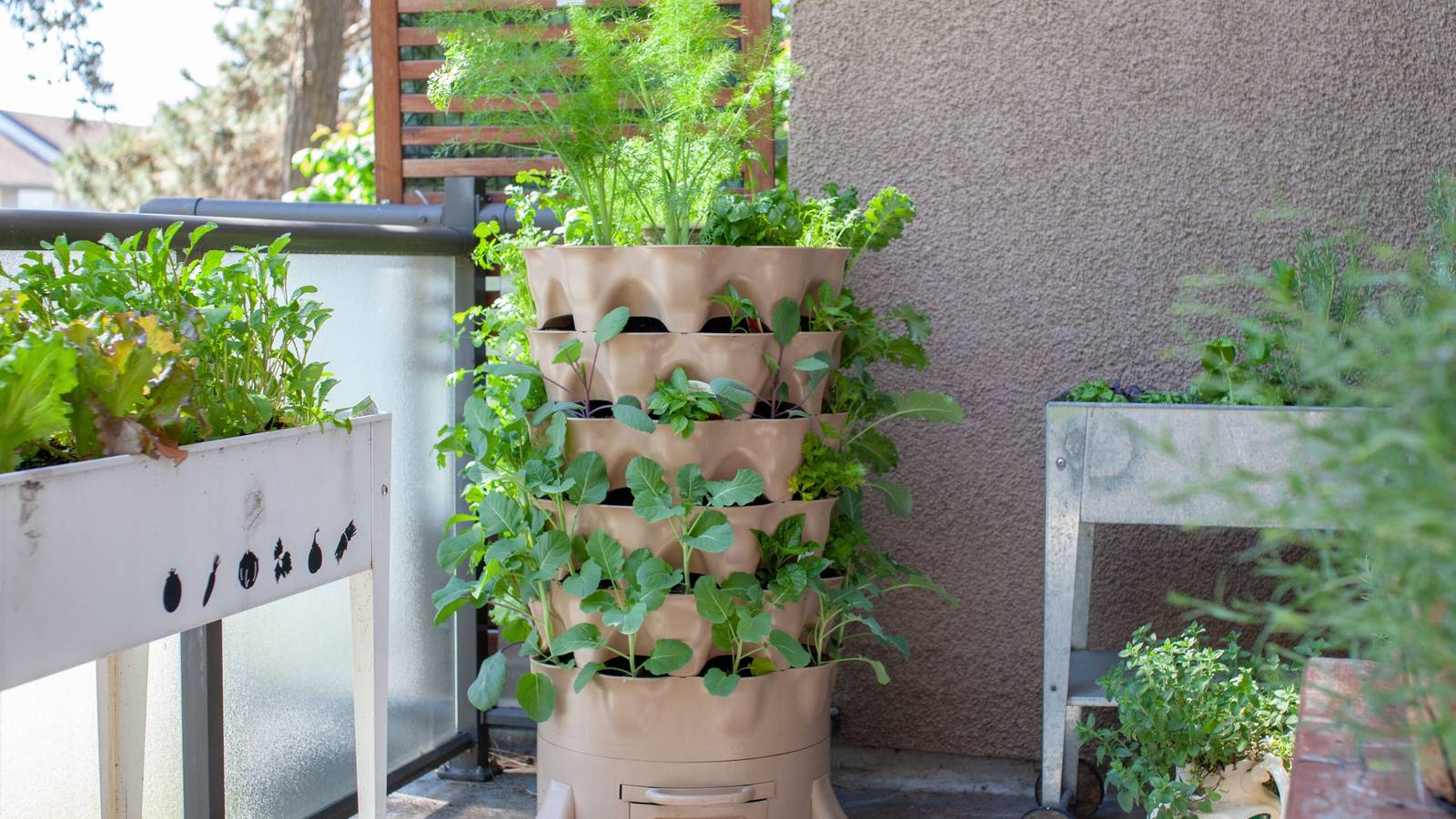 urban balcony garden vertical growing solutions