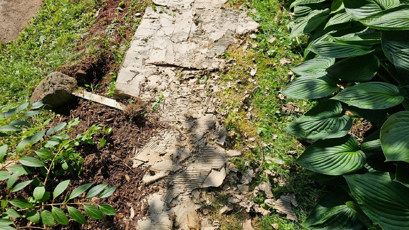 Cardboard in the Garden: Why It's An Effective Landscaping Mulch