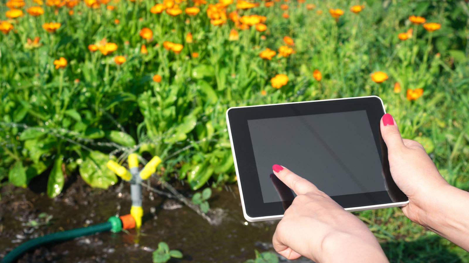 How Innovative Tech Can Transform Your Garden