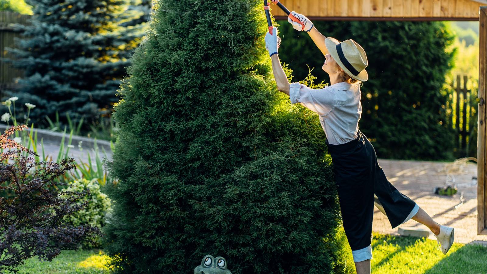 Cutting Bushes Into Shapes How To Make A Topiary In Your Garden