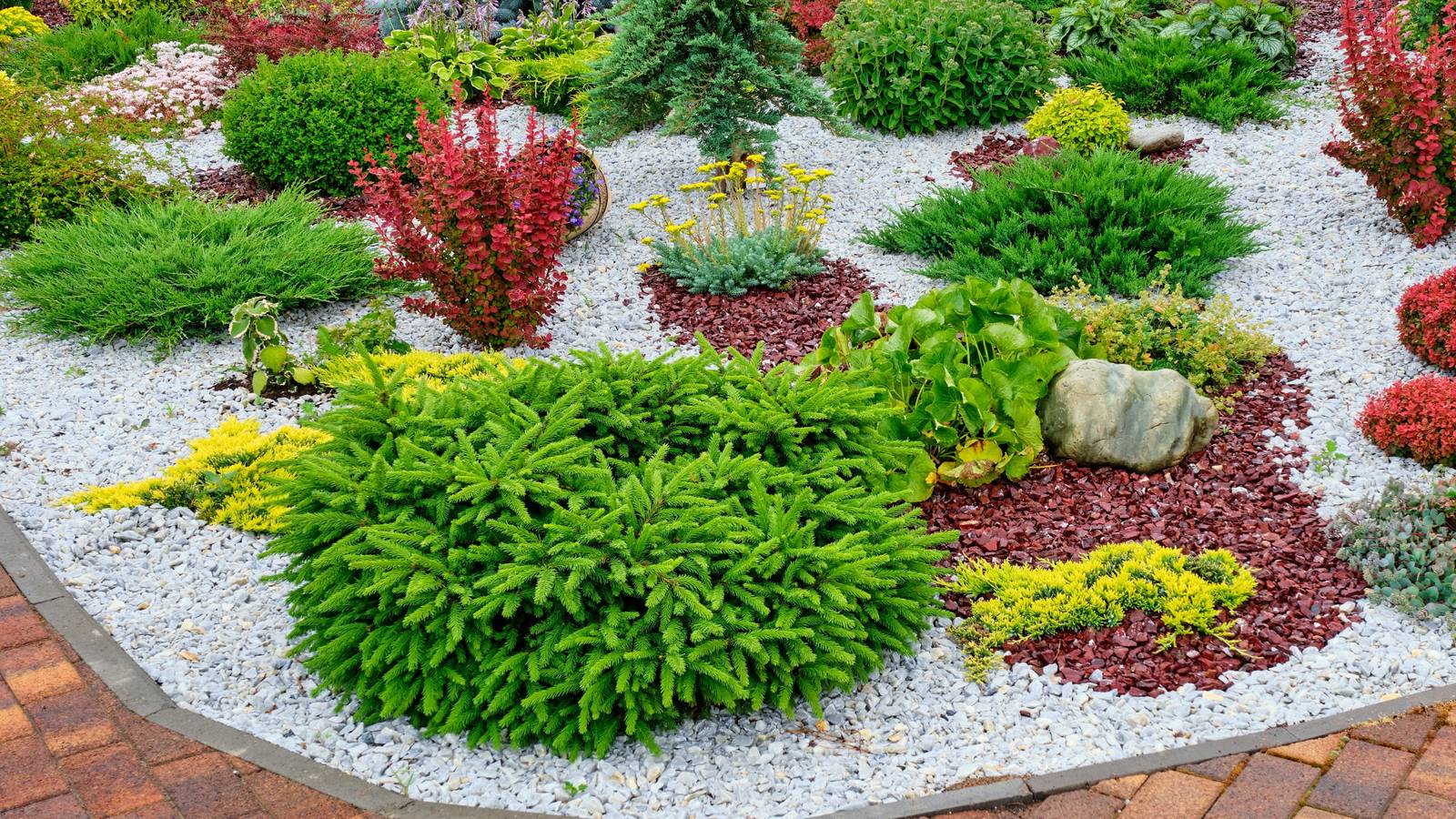 8 Pretty Plants and Flowers For Your Gravel Garden
