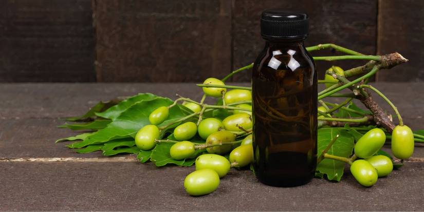 How to Use Edible Oils for Pest Control