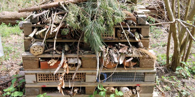 Create a Bug Hotel to Draw Helpful Garden Insects