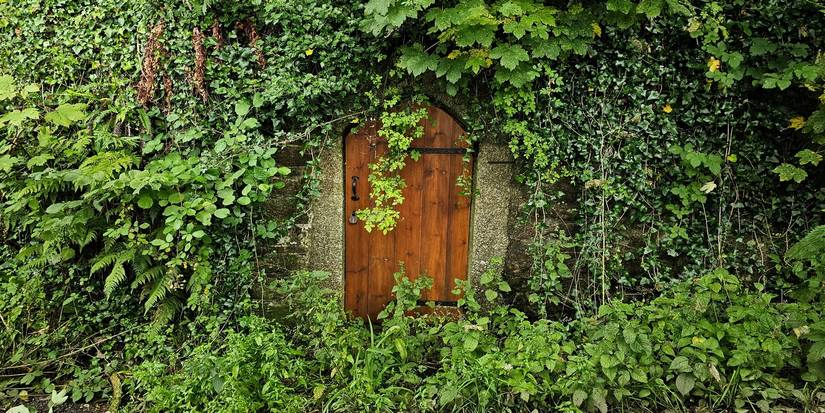 How to Design a Beautiful Walled Garden