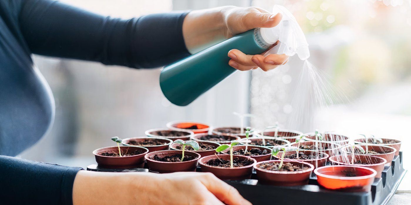 From Seed to Sprout: The Ultimate Guide to Indoor Seed Starting