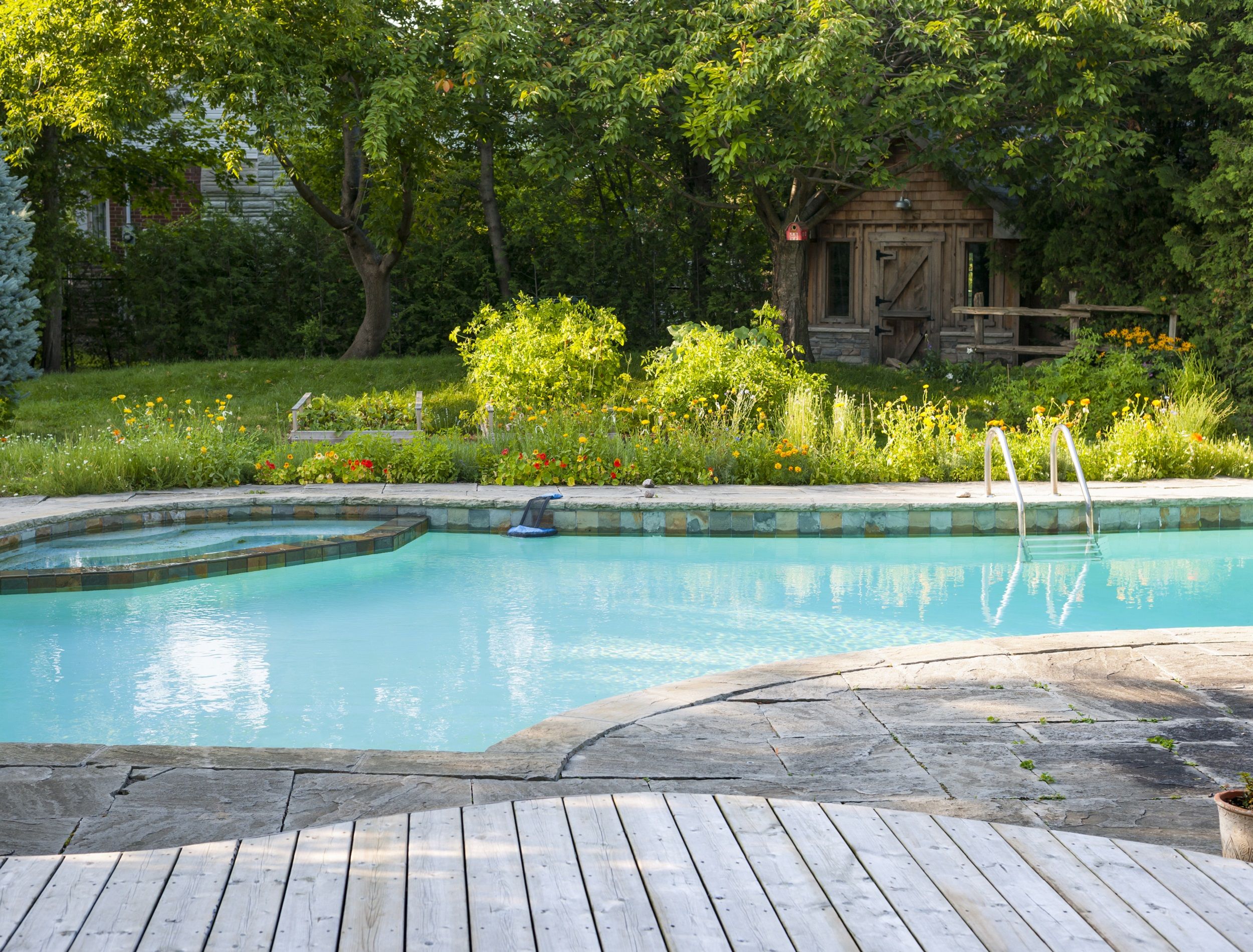 Natural Swimming Pool Design: 8 Pool Garden Ideas, image size:2500x1900
