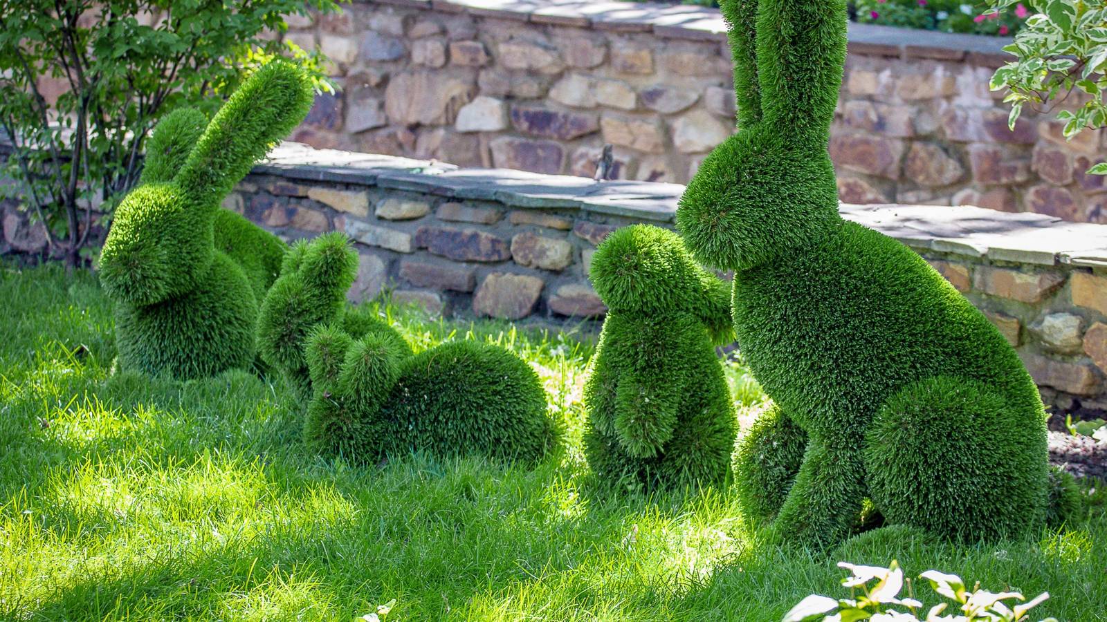 Sculpting Nature: How to Train Trees and Shrubs Into Living Art
