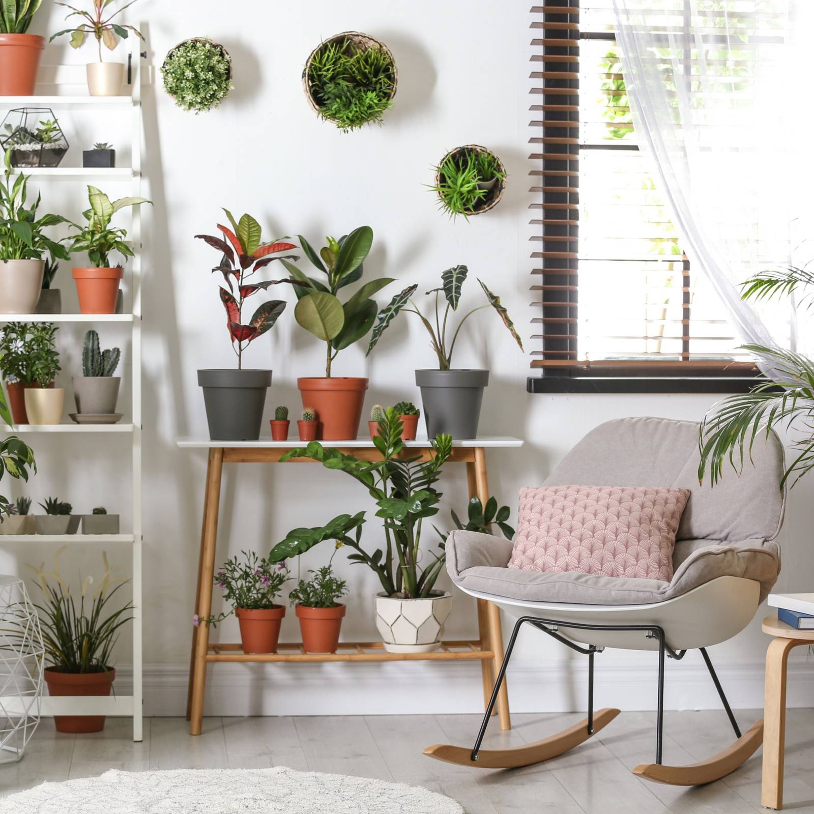7 Plant Displays With the Latest Garden Trends