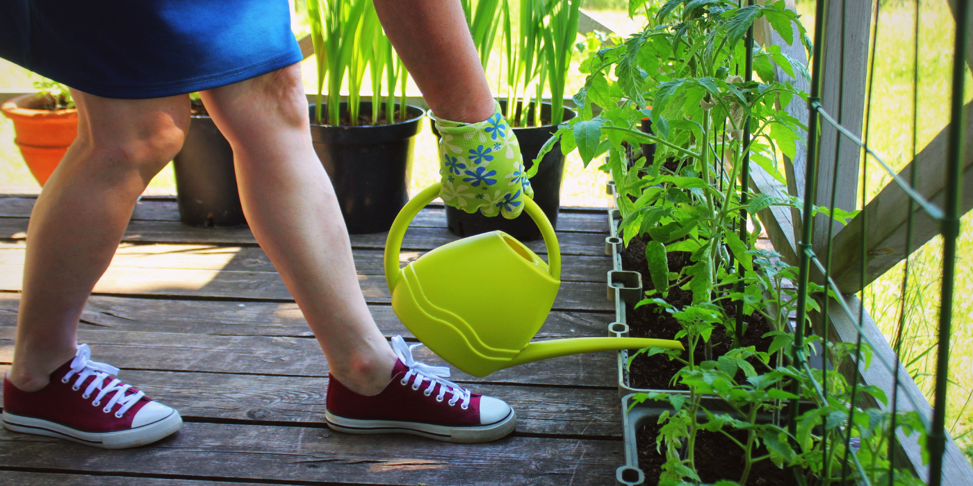 Thriller, Spiller, Filler: Ultimate Guide to Container Gardening
