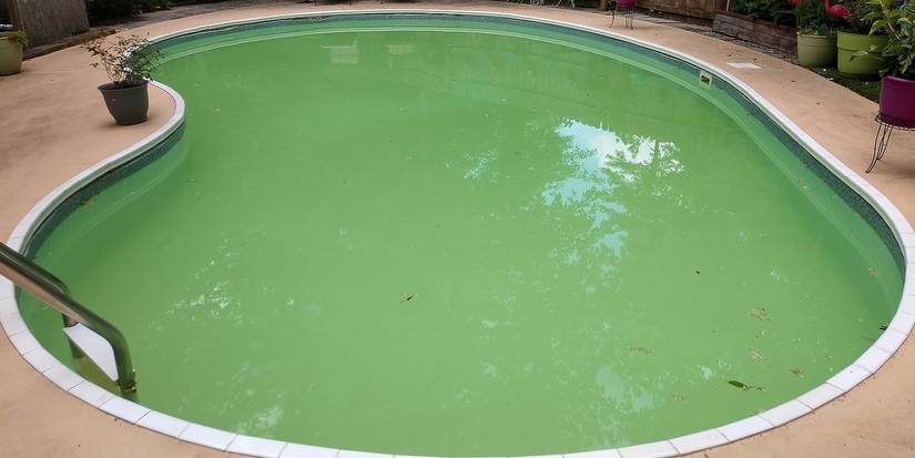 Shell Pool Green Why Is Your Pool Water Green?