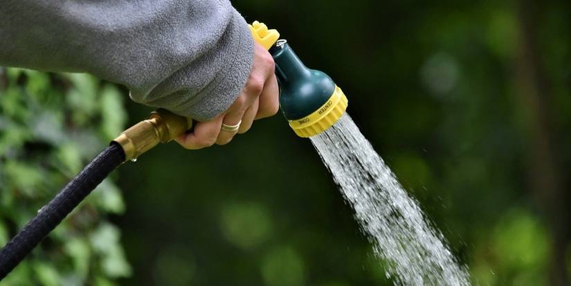 Why Watering Plants With a Hose Could Be Slowly Killing Them