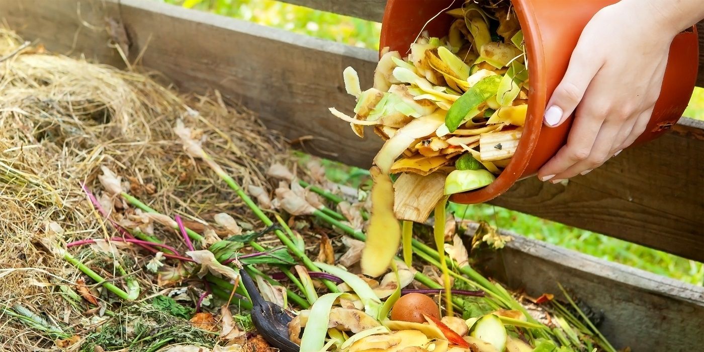 Transform Your Yard for Free: Sustainable Gardening Using Natural Resources
