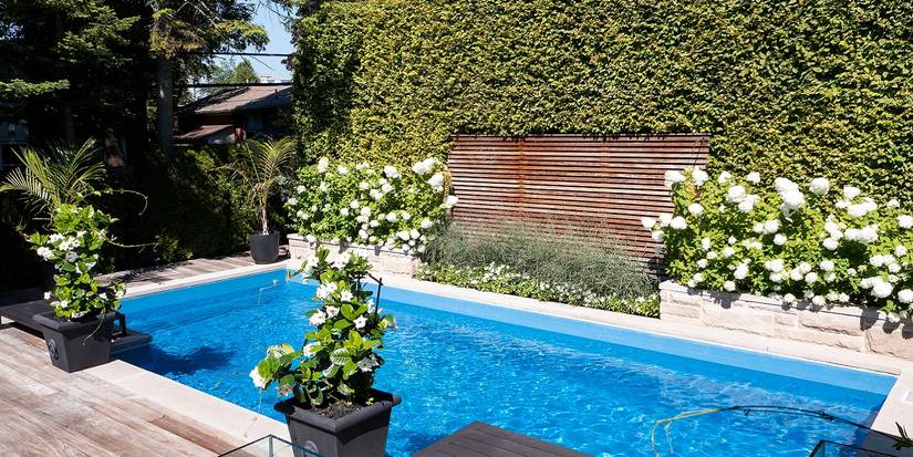 Transform Your Backyard With Serene Reflecting Pool Designs