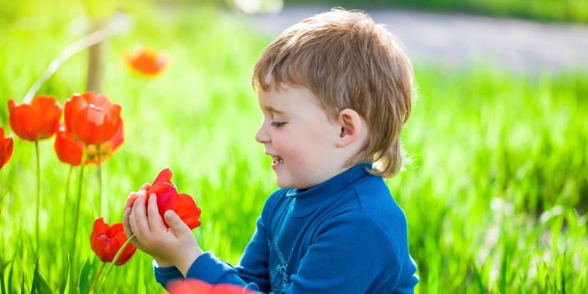 Designing a Sensory Garden for Kids: A Complete Guide