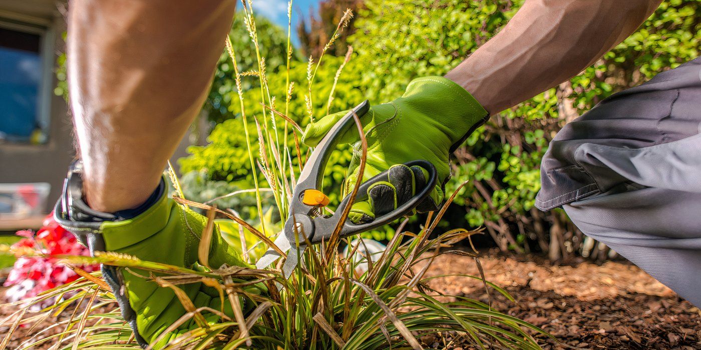 Set Your Fall Garden up For Success
