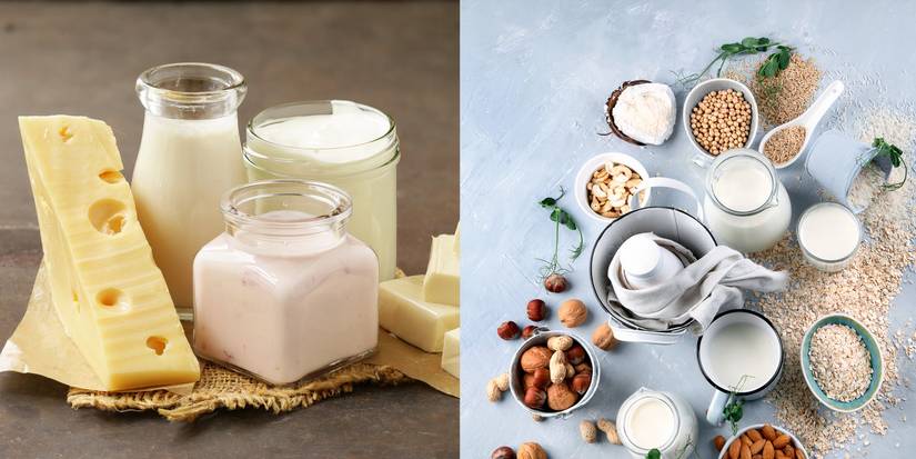 Plant Based Milk: The Good and Bad