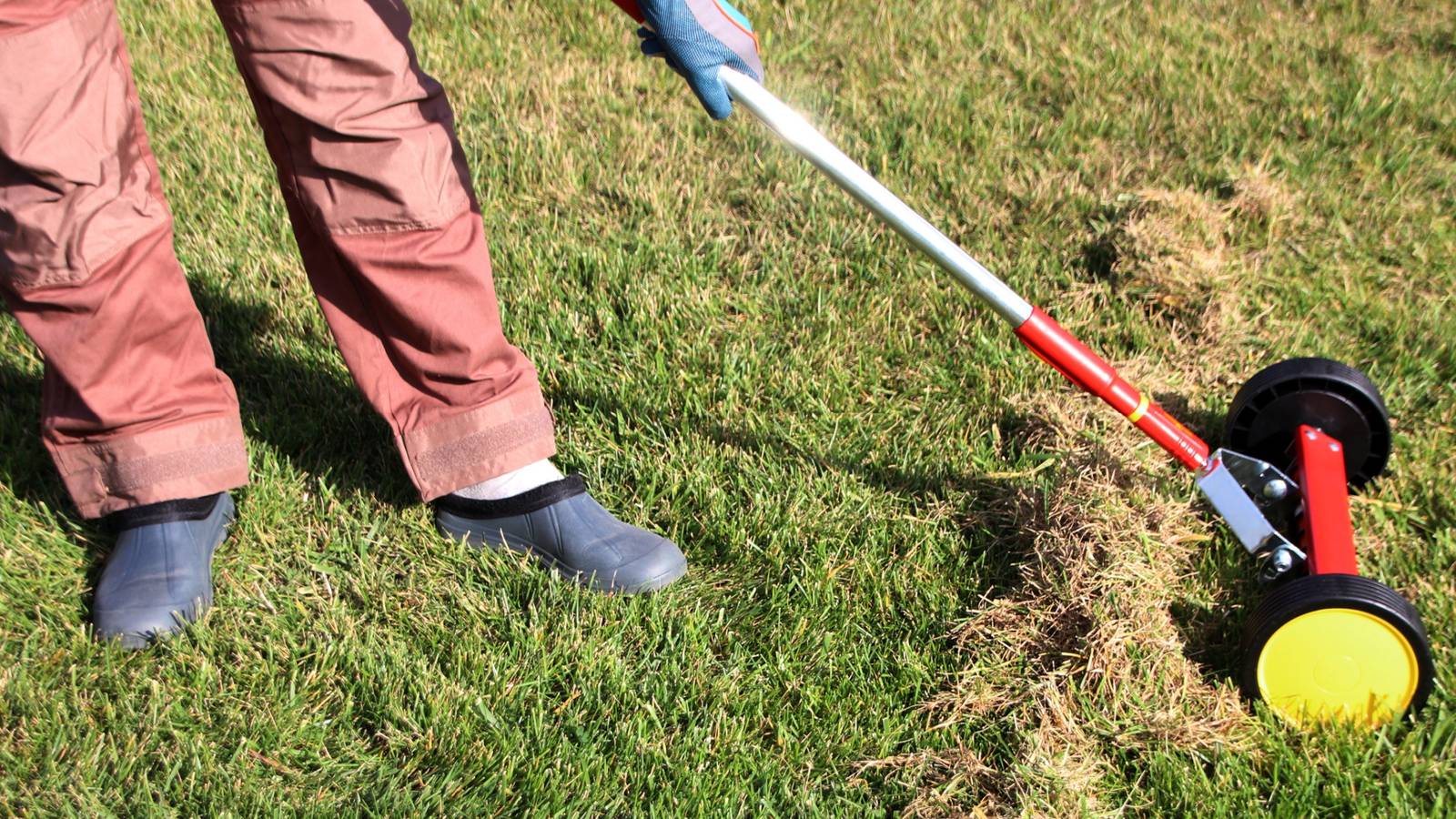 Fall Thatching Fall Grass Care: Learn How and Why to Dethatch Grass