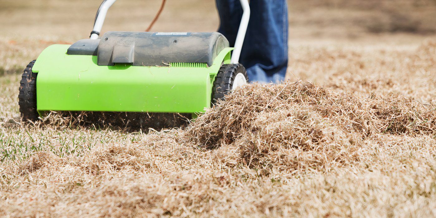 Fall Grass Care: Learn How and Why to Dethatch Grass