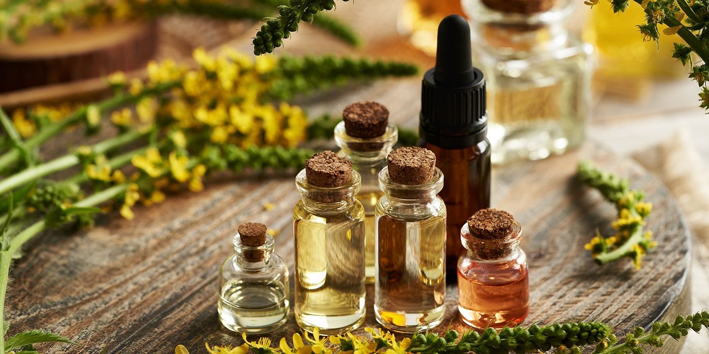 How to Use Essential Oils in the Garden
