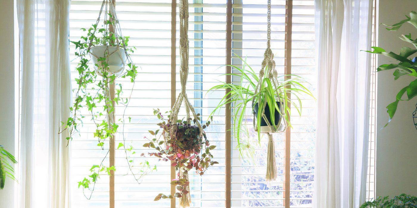 indoor plant watering jug Watering Can + Plant Care Accessories
