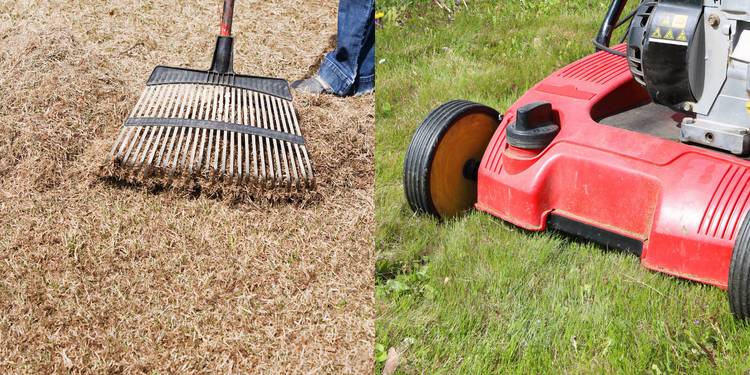 Fall Thatching Fall Grass Care: Learn How and Why to Dethatch Grass