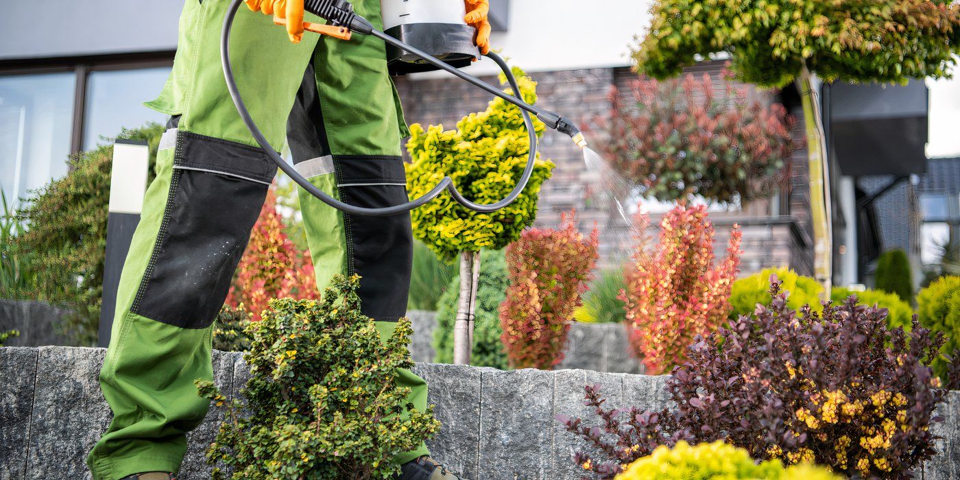 Beginner's Guide to Gardening: Tips, Tools, and Creative Garden Ideas
