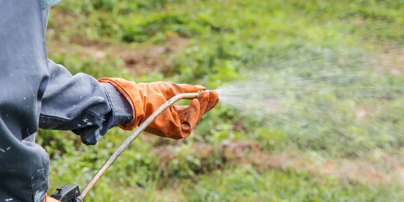 Invasive Weeds: How To Stop Them From Spreading From Your Neighbor's Yard