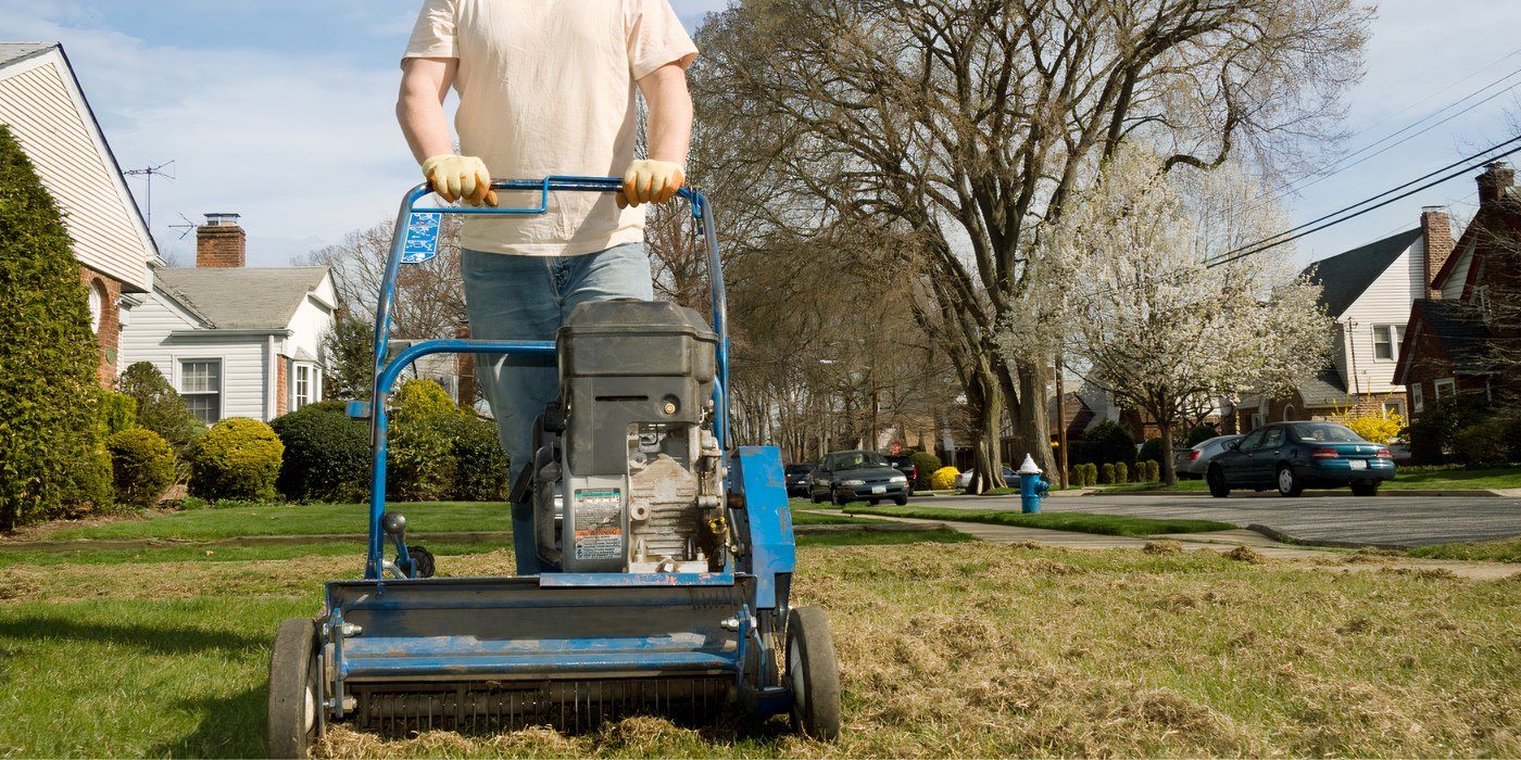 Fall Grass Care: Learn How and Why to Dethatch Grass