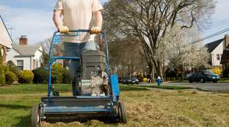 Fall Thatching Fall Grass Care: Learn How and Why to Dethatch Grass