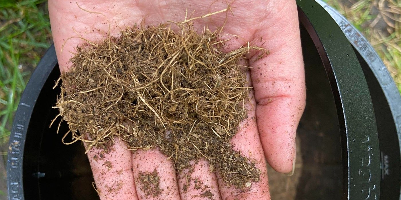 Organic Secrets for Soil Health: Preparing Your Garden This Fall