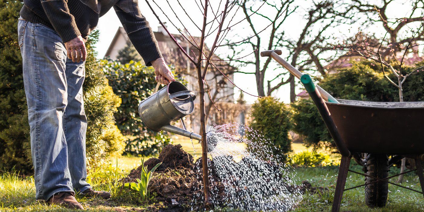 Avoid Common Winter Gardening Mistakes for Stronger Plants