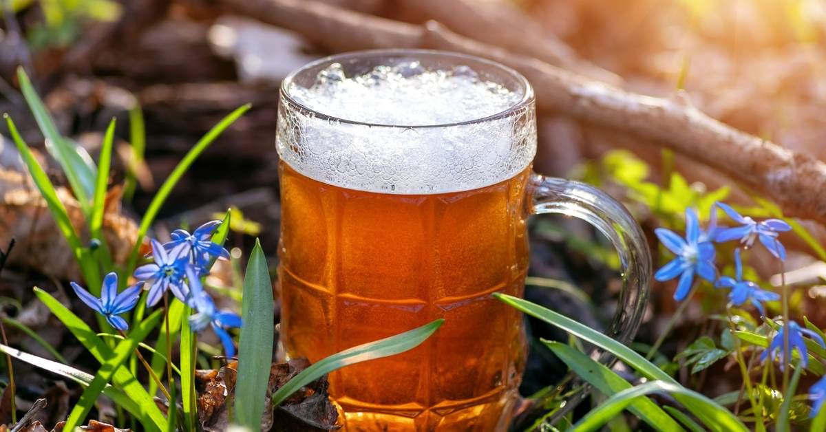 How Plant Science is Slowly Revolutionizing the Beer Industry