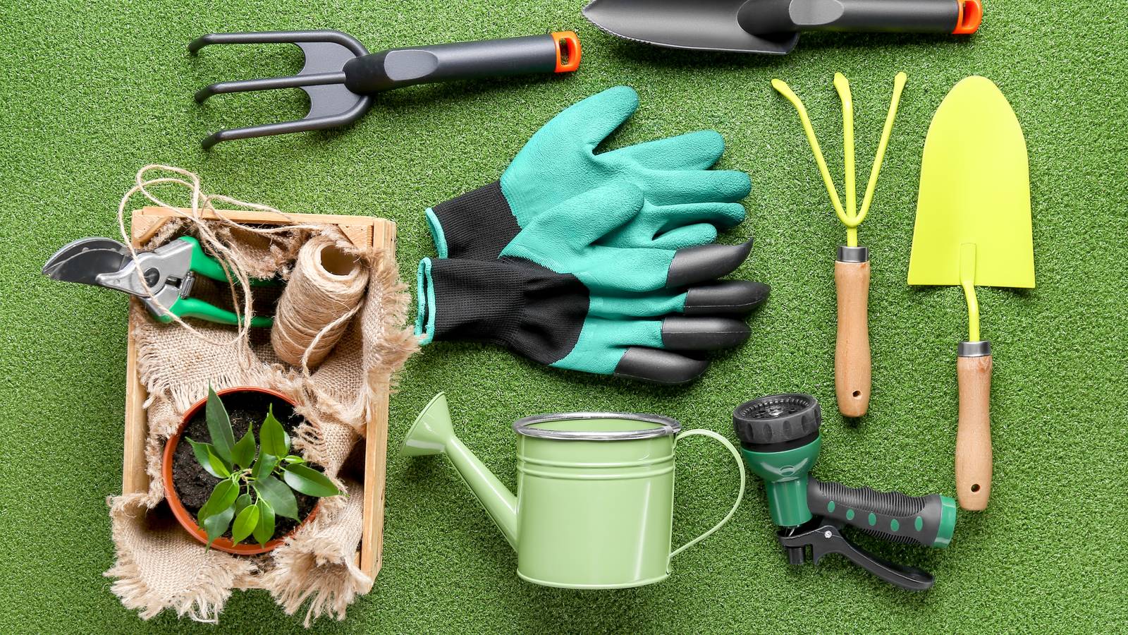 The Ultimate Gardener's Toolkit: 11 Essential Tools, image size:1600x900