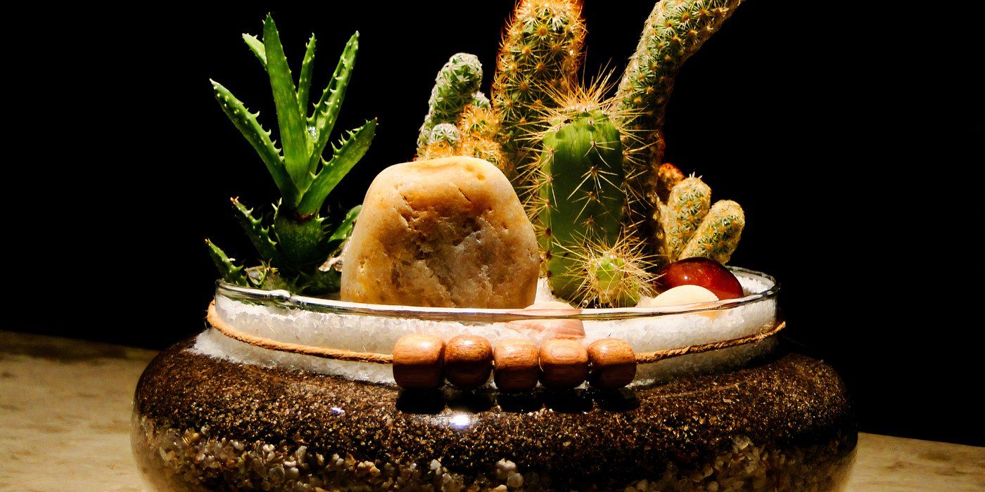 Create a DIY Terrarium With Inspiration From 5 Glass Terrariums