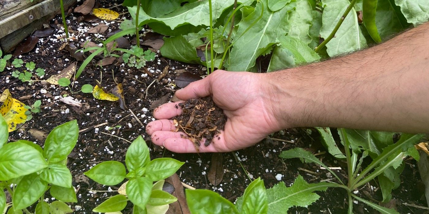 Top 5 Gardening Mistakes You Didn't Know You Were Making