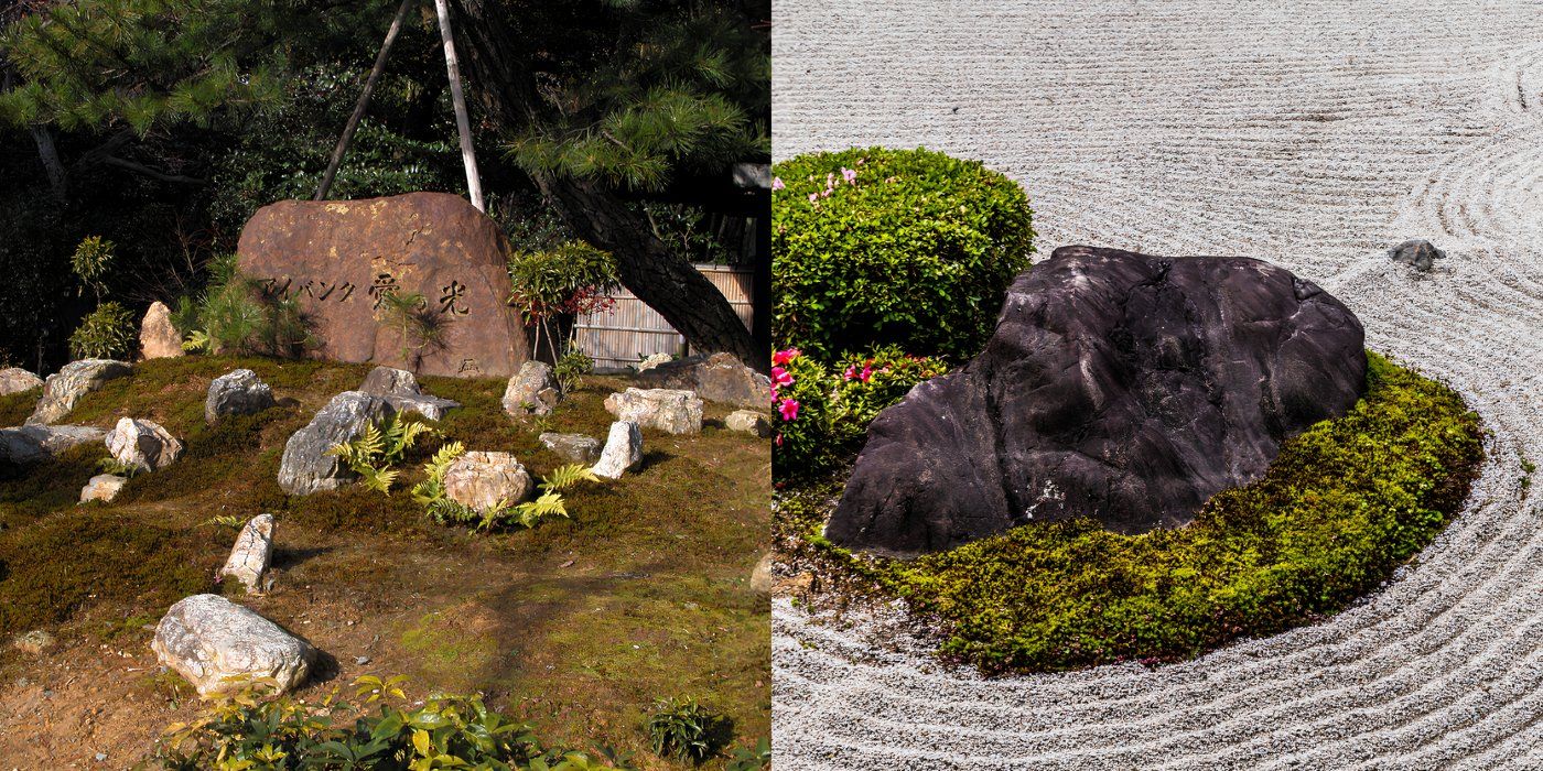 Backyard Ideas: Create a Lush Moss Garden in Your Yard