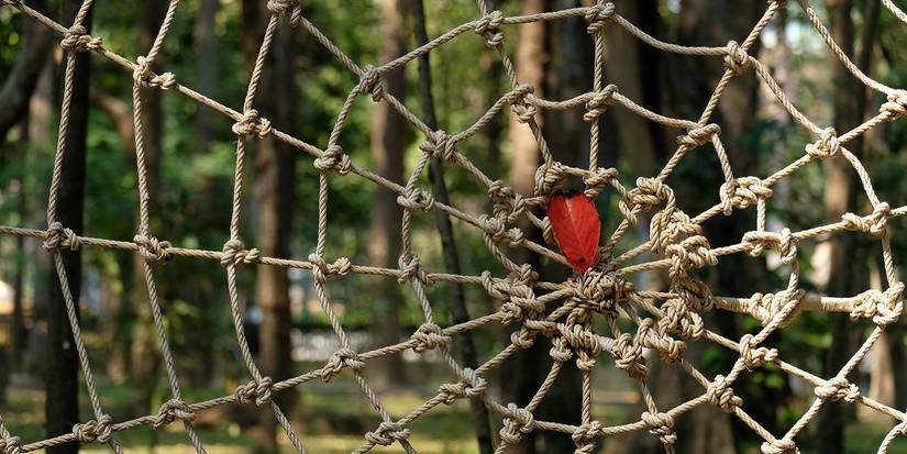 Web Rope Decorate With Alternatives to Dangerous Halloween Webs