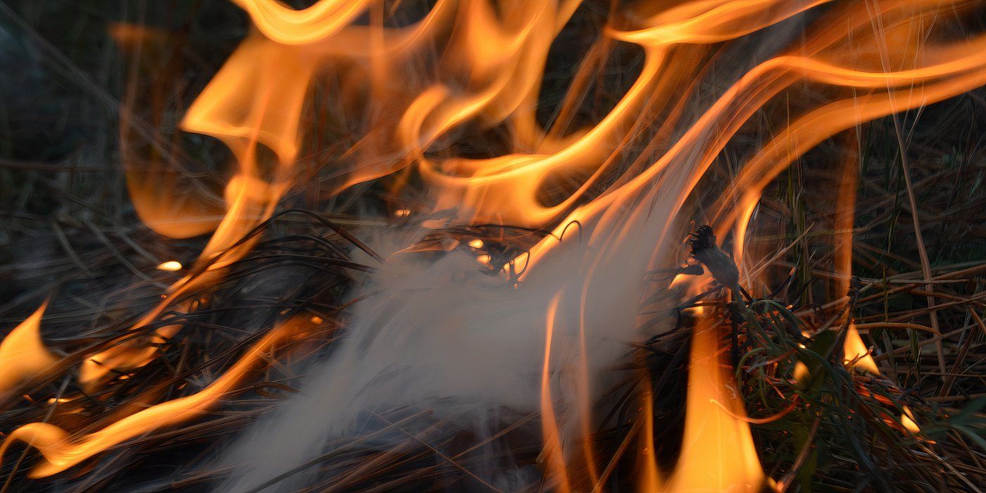 Yard Waste: 5 Things to Keep Out of Your Fireplace