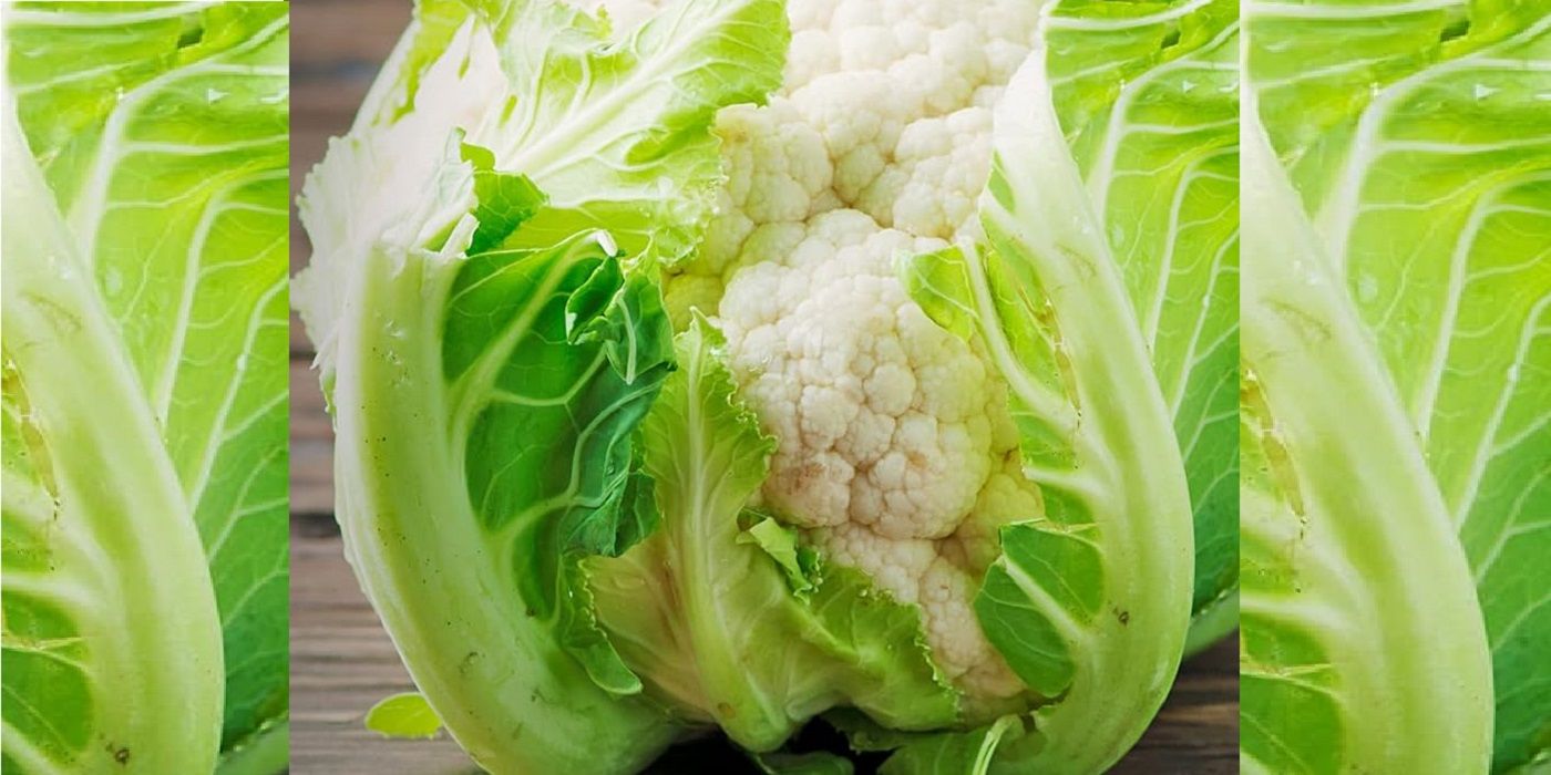 Plant the Best Fall Vegetables in Your October Garden