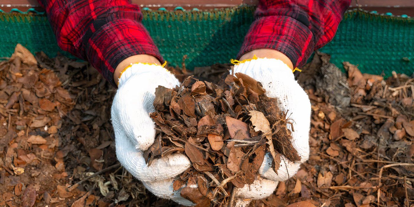Boost Plant Health Naturally: The Role of Calcium in Garden Soil