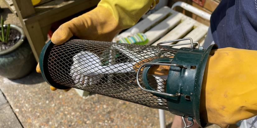 DIY Hummingbird Food: Easy, Cost-Effective Nectar Guide