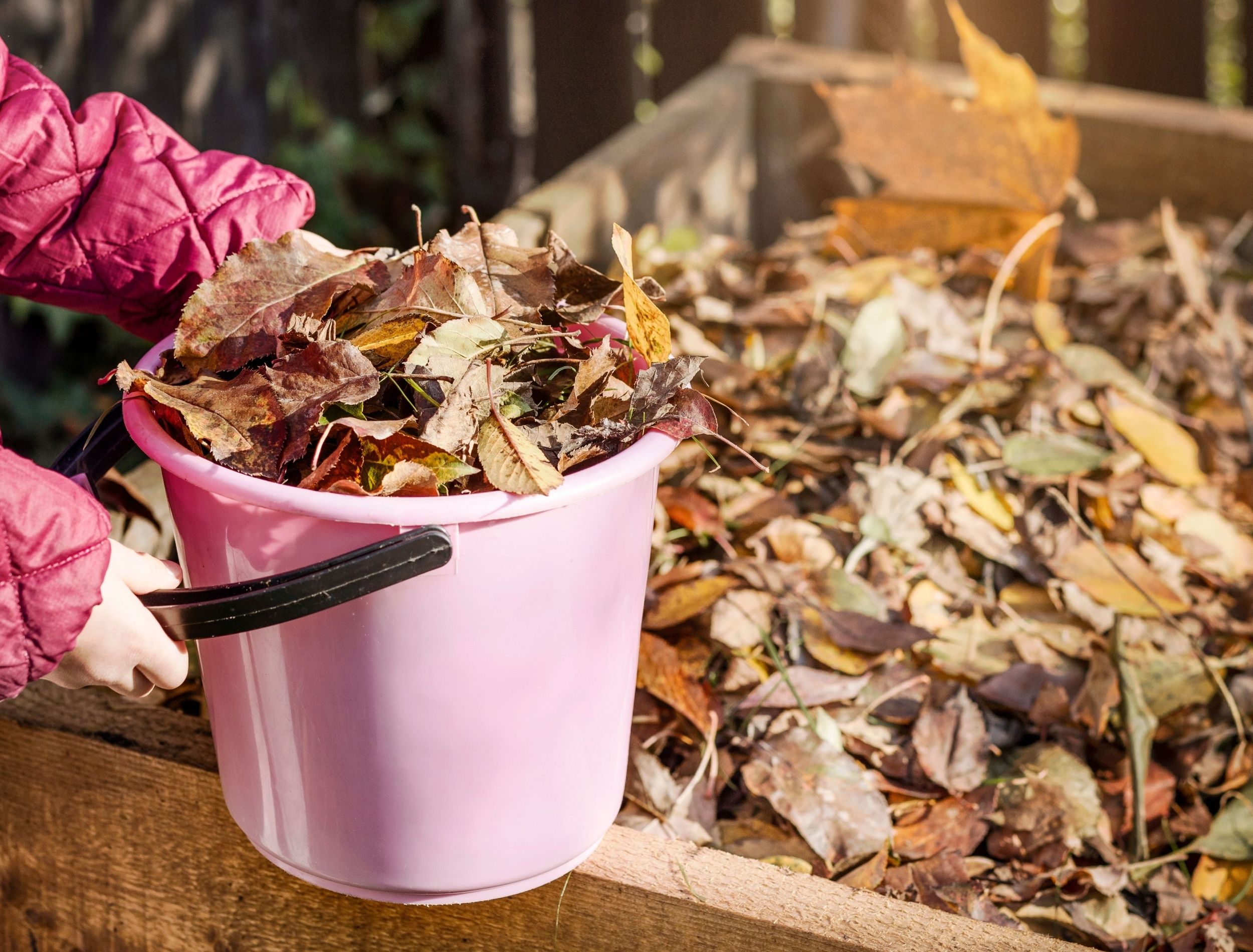 How to Build a Perfect Compost Pile Using Fall Leaves