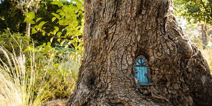 5 Landscaping Ideas: Turn an Ordinary Knothole Into a Focal Point