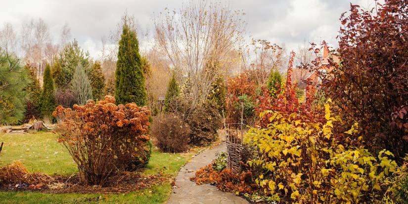 Give Your Yard a Fall Makeover