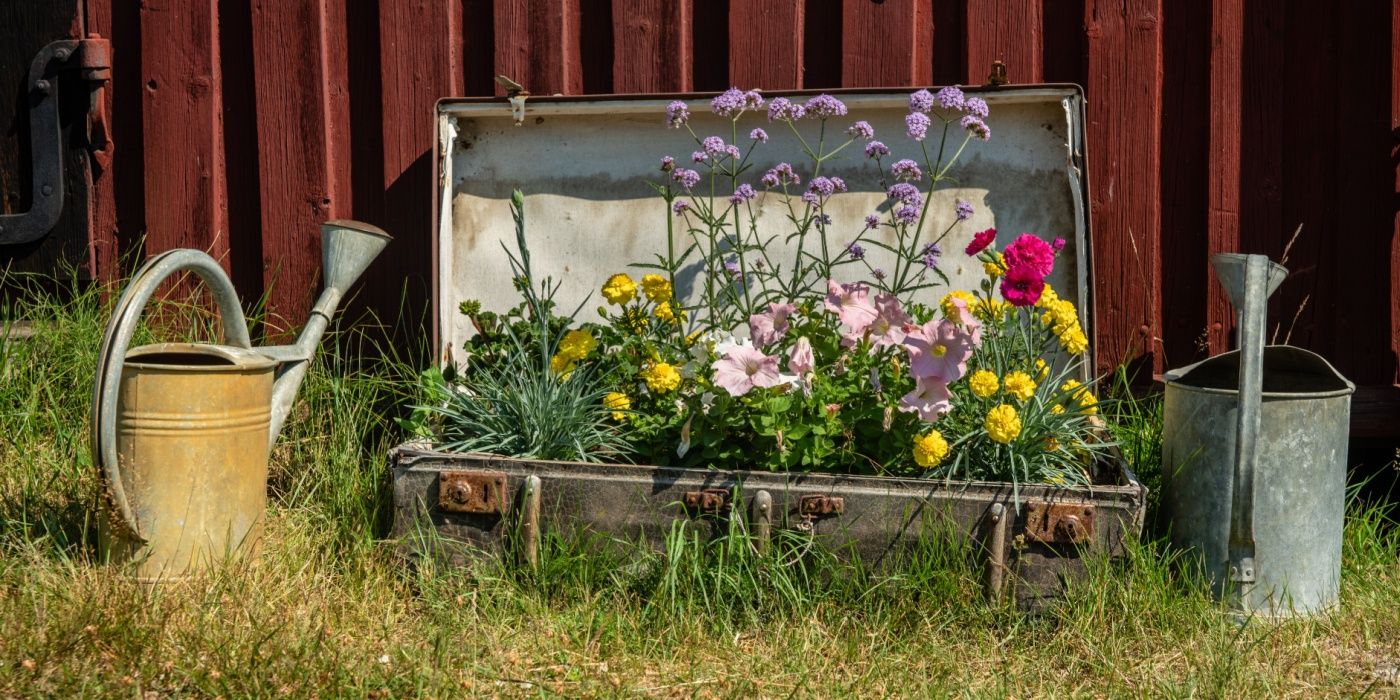 5 Creative DIY Garden Planters Made from Upcycled Treasures