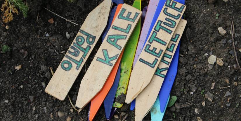 Your Ultimate Guide to DIY Plant Markers That Elevate Your Garden