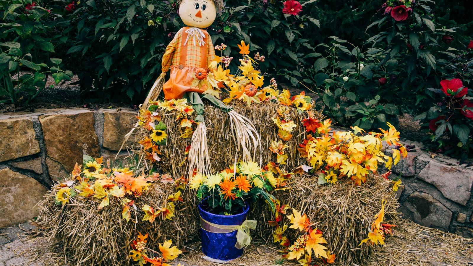 5 Fun Fall Decoration Ideas Using Cornstalks and Haybales