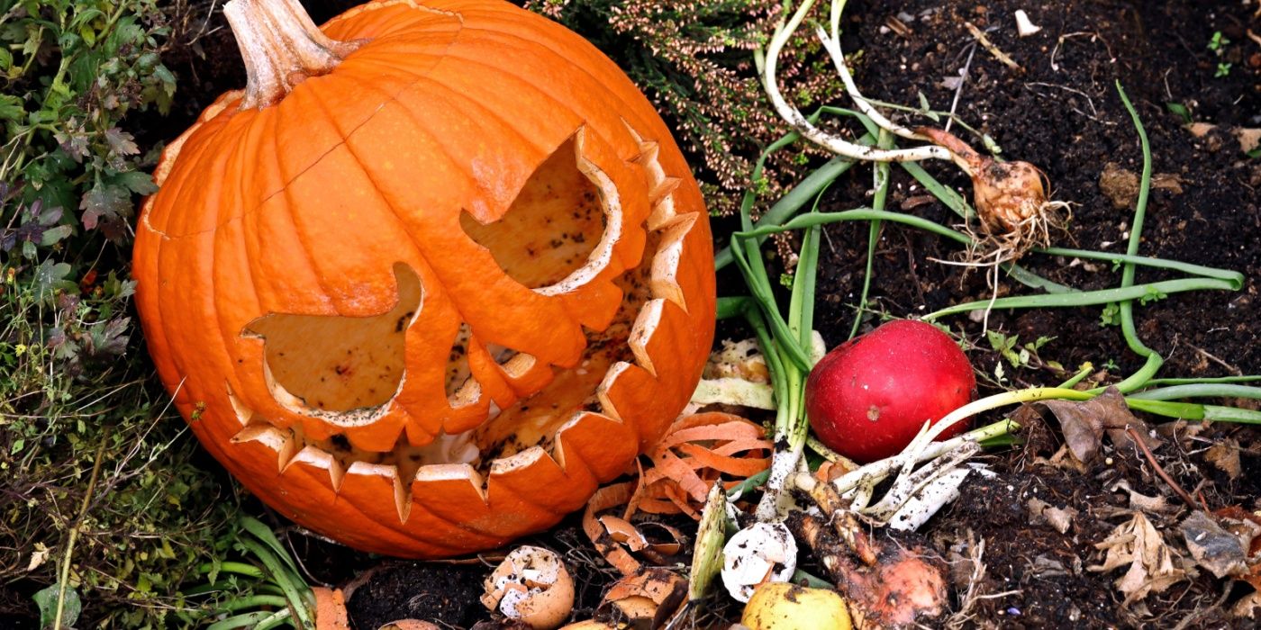 Give Your Jack O'Lantern a Green Goodbye