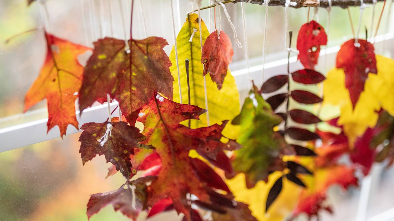 Paper Leaf Window Turn Fall Leaves Into DIY Opportunities